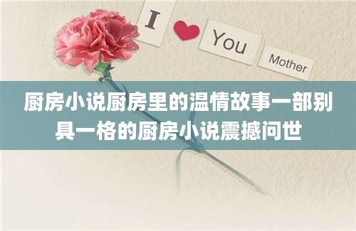 厨房小说厨房里的温情故事一部别具一格的厨房小说震撼问世