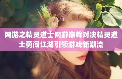 网游之精灵道士网游巅峰对决精灵道士勇闯江湖引领游戏新潮流