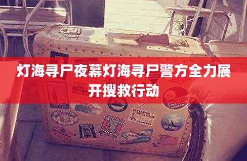 灯海寻尸夜幕灯海寻尸警方全力展开搜救行动