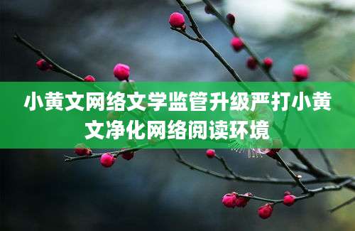 小黄文网络文学监管升级严打小黄文净化网络阅读环境