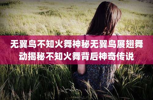 无翼鸟不知火舞神秘无翼鸟展翅舞动揭秘不知火舞背后神奇传说