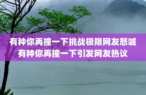 有种你再撞一下挑战极限网友怒喊有种你再撞一下引发网友热议