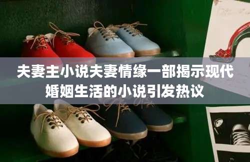 夫妻主小说夫妻情缘一部揭示现代婚姻生活的小说引发热议