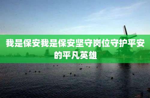我是保安我是保安坚守岗位守护平安的平凡英雄