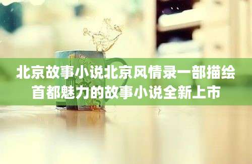 北京故事小说北京风情录一部描绘首都魅力的故事小说全新上市