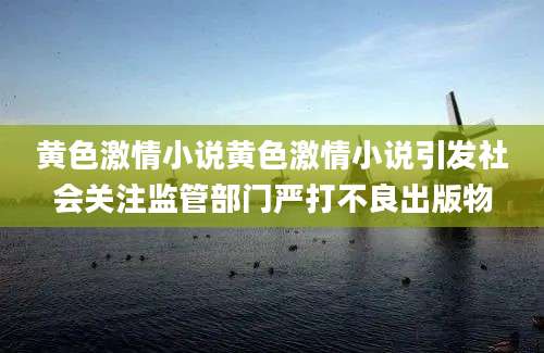 黄色激情小说黄色激情小说引发社会关注监管部门严打不良出版物