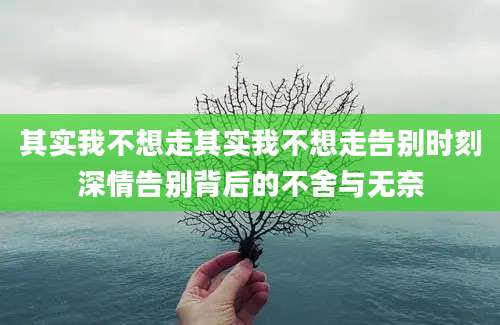 其实我不想走其实我不想走告别时刻深情告别背后的不舍与无奈