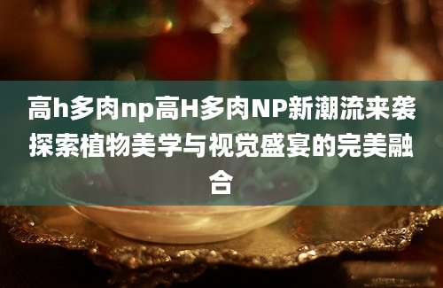 高h多肉np高H多肉NP新潮流来袭探索植物美学与视觉盛宴的完美融合