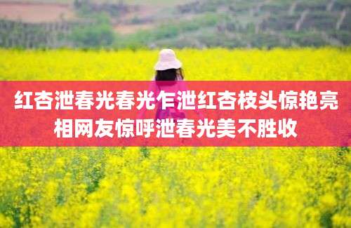 红杏泄春光春光乍泄红杏枝头惊艳亮相网友惊呼泄春光美不胜收