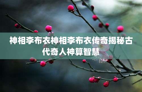 神相李布衣神相李布衣传奇揭秘古代奇人神算智慧