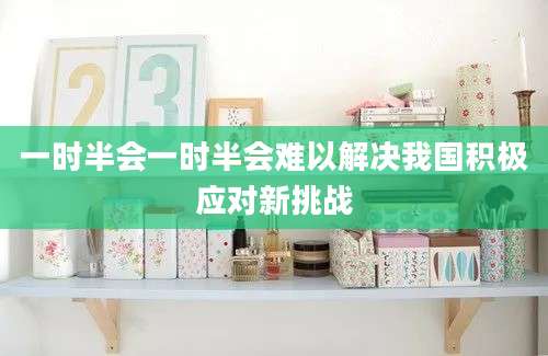 一时半会一时半会难以解决我国积极应对新挑战