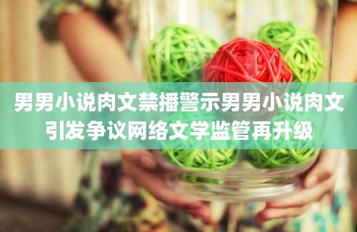 男男小说肉文禁播警示男男小说肉文引发争议网络文学监管再升级