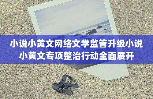 小说小黄文网络文学监管升级小说小黄文专项整治行动全面展开