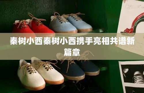 秦树小西秦树小西携手亮相共谱新篇章