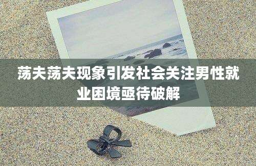 荡夫荡夫现象引发社会关注男性就业困境亟待破解