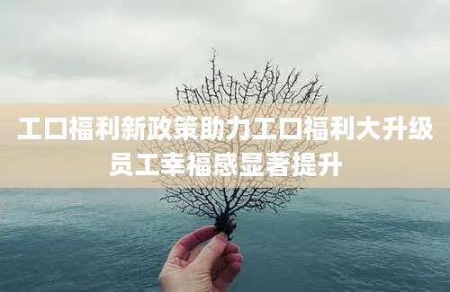 工口福利新政策助力工口福利大升级员工幸福感显著提升