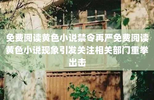 免费阅读黄色小说禁令再严免费阅读黄色小说现象引发关注相关部门重拳出击