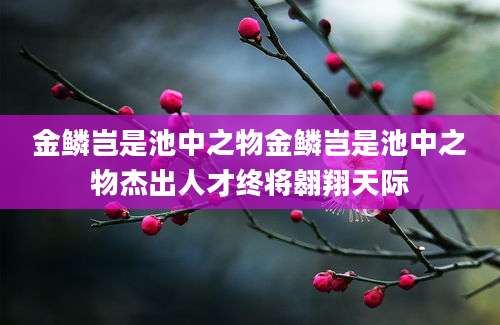 金鳞岂是池中之物金鳞岂是池中之物杰出人才终将翱翔天际