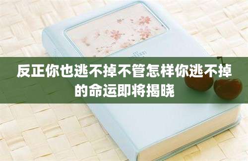 反正你也逃不掉不管怎样你逃不掉的命运即将揭晓