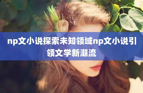 np文小说探索未知领域np文小说引领文学新潮流