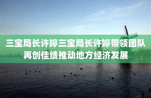 三宝局长许婷三宝局长许婷带领团队再创佳绩推动地方经济发展