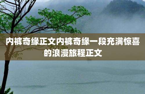 内裤奇缘正文内裤奇缘一段充满惊喜的浪漫旅程正文