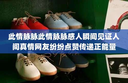 此情脉脉此情脉脉感人瞬间见证人间真情网友纷纷点赞传递正能量