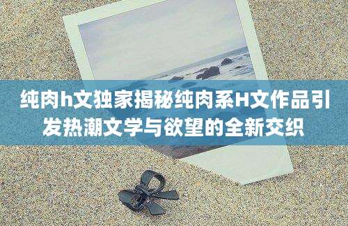 纯肉h文独家揭秘纯肉系H文作品引发热潮文学与欲望的全新交织