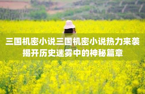 三国机密小说三国机密小说热力来袭揭开历史迷雾中的神秘篇章