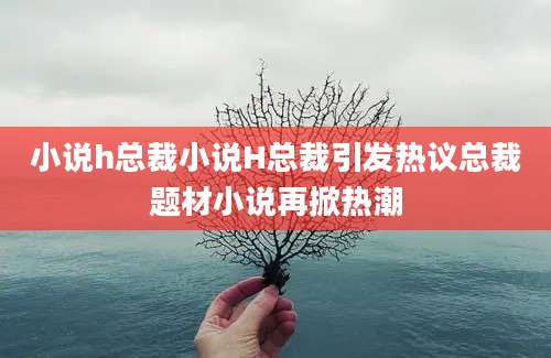 小说h总裁小说H总裁引发热议总裁题材小说再掀热潮