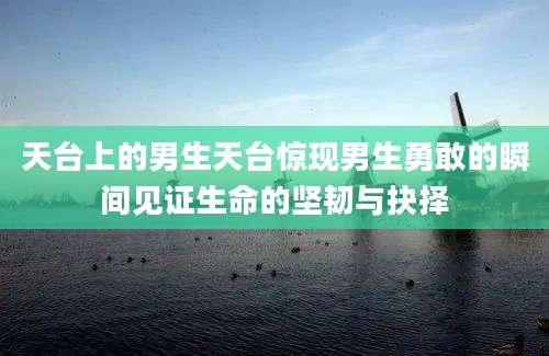 天台上的男生天台惊现男生勇敢的瞬间见证生命的坚韧与抉择