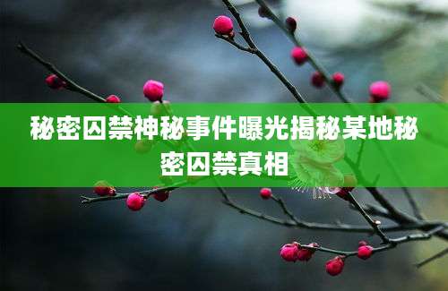 秘密囚禁神秘事件曝光揭秘某地秘密囚禁真相