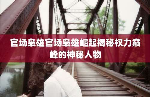 官场枭雄官场枭雄崛起揭秘权力巅峰的神秘人物