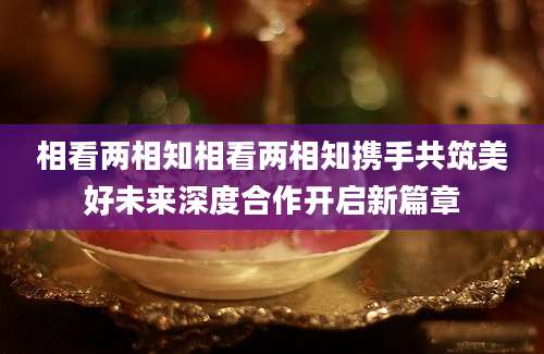 相看两相知相看两相知携手共筑美好未来深度合作开启新篇章