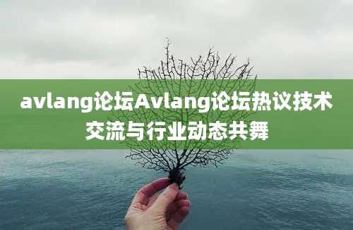 avlang论坛Avlang论坛热议技术交流与行业动态共舞