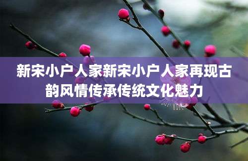 新宋小户人家新宋小户人家再现古韵风情传承传统文化魅力
