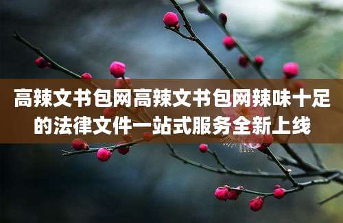 高辣文书包网高辣文书包网辣味十足的法律文件一站式服务全新上线