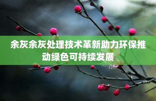 余灰余灰处理技术革新助力环保推动绿色可持续发展