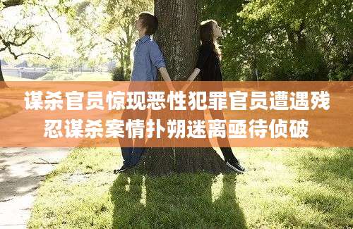 谋杀官员惊现恶性犯罪官员遭遇残忍谋杀案情扑朔迷离亟待侦破