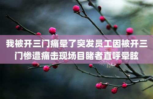 我被开三门痛晕了突发员工因被开三门惨遭痛击现场目睹者直呼晕眩