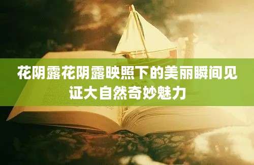 花阴露花阴露映照下的美丽瞬间见证大自然奇妙魅力