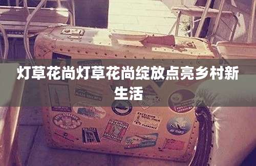 灯草花尚灯草花尚绽放点亮乡村新生活