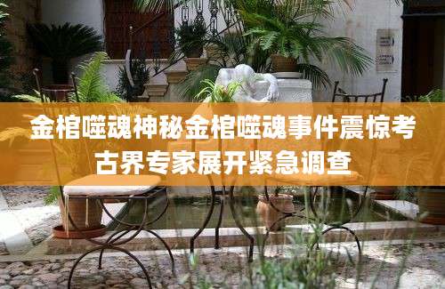 金棺噬魂神秘金棺噬魂事件震惊考古界专家展开紧急调查