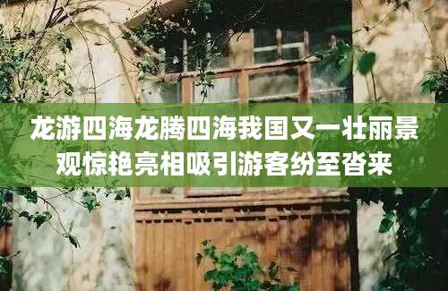 龙游四海龙腾四海我国又一壮丽景观惊艳亮相吸引游客纷至沓来