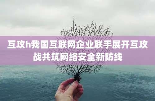 互攻h我国互联网企业联手展开互攻战共筑网络安全新防线
