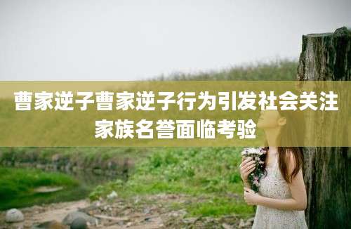 曹家逆子曹家逆子行为引发社会关注家族名誉面临考验
