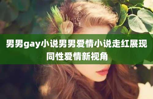 男男gay小说男男爱情小说走红展现同性爱情新视角