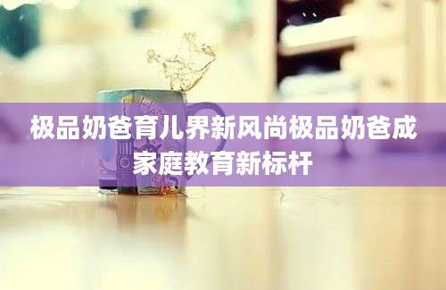 极品奶爸育儿界新风尚极品奶爸成家庭教育新标杆