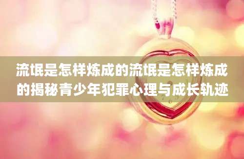 流氓是怎样炼成的流氓是怎样炼成的揭秘青少年犯罪心理与成长轨迹