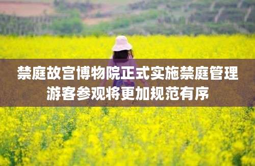 禁庭故宫博物院正式实施禁庭管理游客参观将更加规范有序